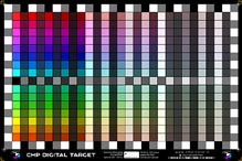 CMP Digital Target-8