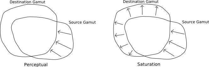 Illustration of perceptual and saturation gamut mapping.